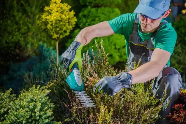 landscaping services Saddle Rock Estates